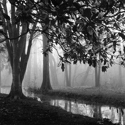 Black and White Photography / landscape / by NicholasBellPhoto | Black and white landscape, Tree ...