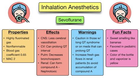 General Anesthesia vs Sedation: Definition, Drugs, Side Effects, List of Example Medications ...