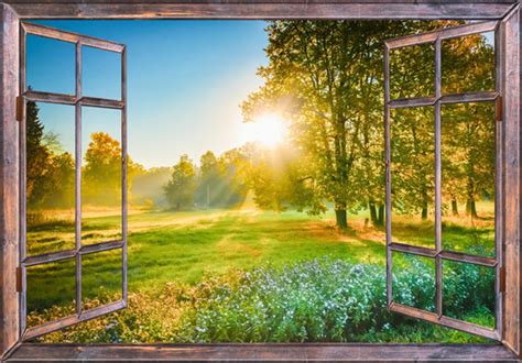 Window View Nature Images – Browse 741,335 Stock Photos, Vectors, and Video | Adobe Stock