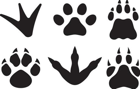 Animal Footprints Vector Art, Icons, and Graphics for Free Download