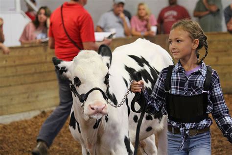 Pics from the 2023 fair! View the photo gallery - Hardin County Fair