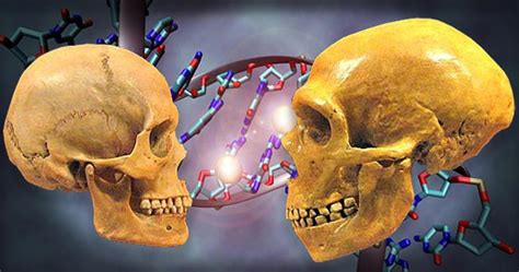 Scientific Breakthrough: Oldest partial genome sequenced, reveals Neanderthals twice as old as ...