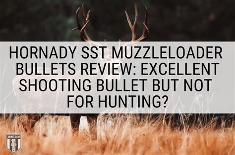 Hornady SST Muzzleloader Bullets Review – The Burning Platform