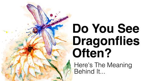 Do You See Dragonflies Often? This Is What It Means...