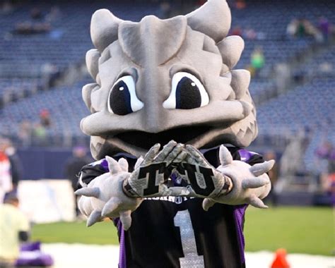 Texas Christian University - Super Frog The Horned Frog-Strangest ...