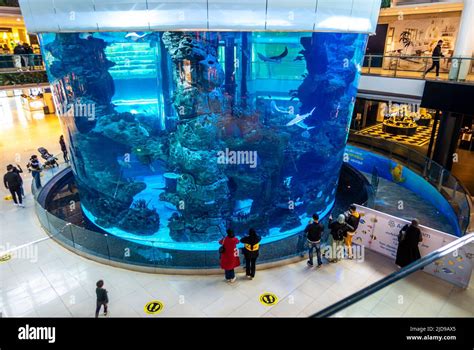 Indoors Aquarium inside Morocco mall, Casablanca, Morocco Stock Photo ...