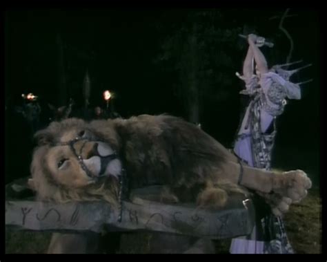 Narnia The Lion The Witch And The Wardrobe Aslan