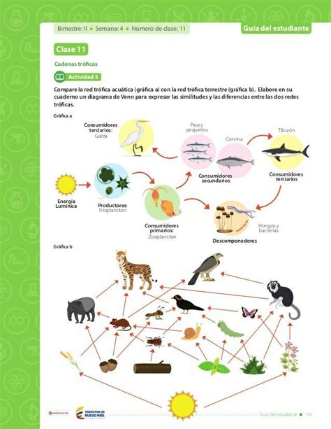 compare la red trófica acuática (gráfica a) con la red trofica ...