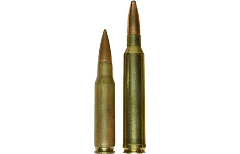 .300 Win. Mag. Vs. .308: Which Winchester Wins? | True Republican