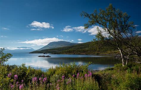 Abisko National Park (Official GANP Park Page)