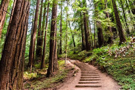 12 Scenic Hikes to Take in Hawthorne, California | TouristSecrets