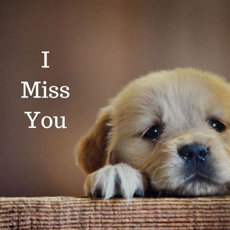 I Miss You - Keep Quotes | I miss you cute, Miss you funny, Cute miss you