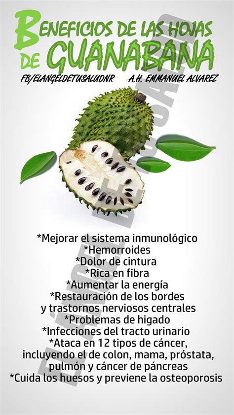 BENEFICIOS DE LAS HOJAS DE GUANABANA #GUANABANA | Recetas para la salud, Remedios para la salud ...