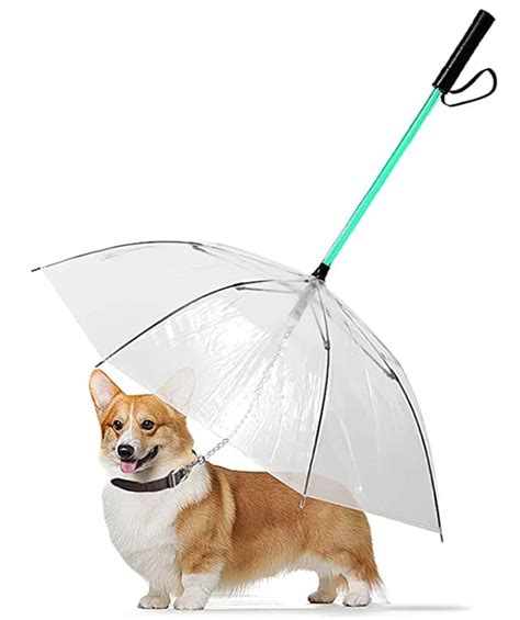 Top 5 Dog Umbrella of 2020 (Rated & Review) | Herepup