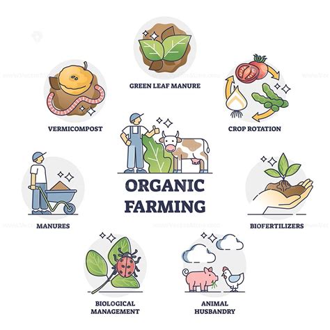 Organic farming and sustainable harvesting method outline collection set - VectorMine