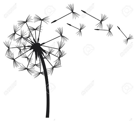 Blowing Dandelion Stock Vector Illustration And Royalty Free Blowing ...