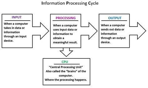 Information Processing Cycle Diagram | Quizlet