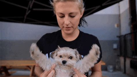 Cute Puppy GIF by Phantogram - Find & Share on GIPHY