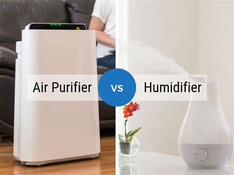 Air Purifier vs. Humidifier: Which One Should you Pick?