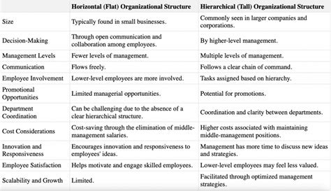 Horizontal (Flat) vs Hierarchical (Tall) Organizational Structure: Meaning, Difference ...