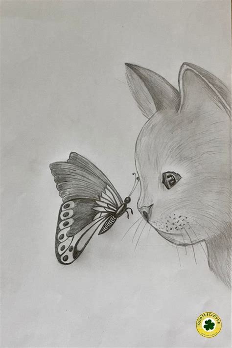 Cat and a Butterfly | Cats art drawing, Drawings, Cat art