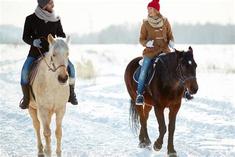 Winter Horse Riding in Bled | Activities in Slovenia from Bled & Ljubljana