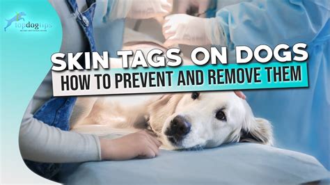 How Do You Remove A Skin Tag From A Dog