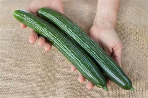 8 Best Parthenocarpic Cucumber Varieties to Grow in 2021 – Bountiful ...