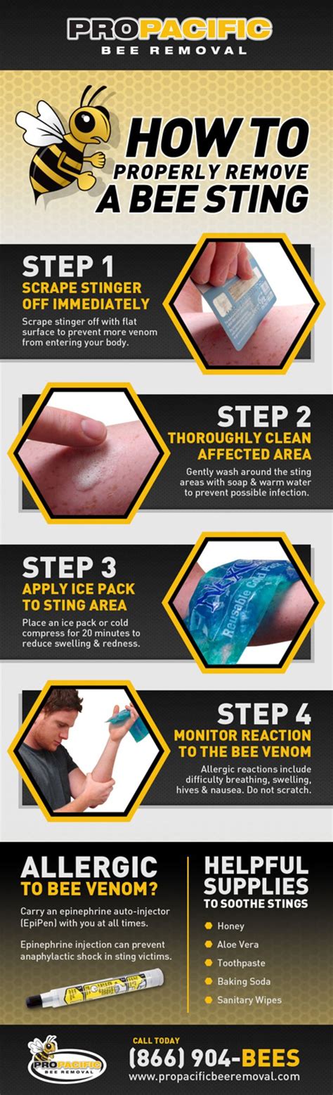 Properly Remove & Treat A Bee Sting Infographic | P3k