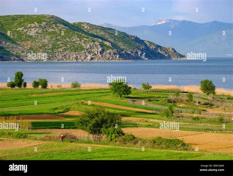 Great Lake Prespa, Prespa National Park, near Korça, Albania Stock ...