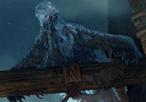 Carrion Crow | Bloodborne Wiki | FANDOM powered by Wikia