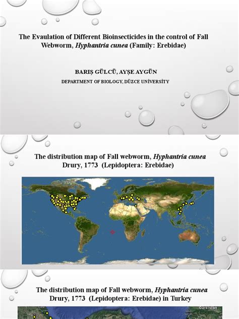 Biological Control of Hyphantria Cunea | PDF | Biological Pest Control | Insects