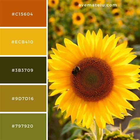 Color Palettes – Ave Mateiu | Color psychology, Sunflower colors, Color palette design