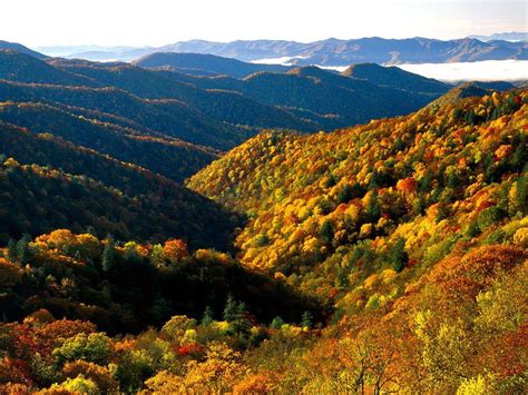 Great Smoky Mountains Wallpapers - Top Free Great Smoky Mountains Backgrounds - WallpaperAccess