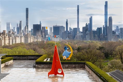 The Met's latest rooftop installation features a swaying Big Bird ...