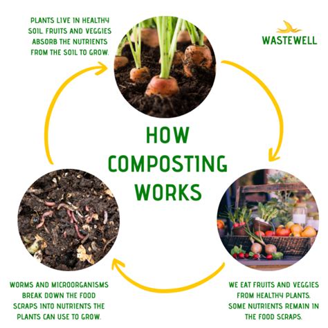 How Does Composting Work? – WasteWell