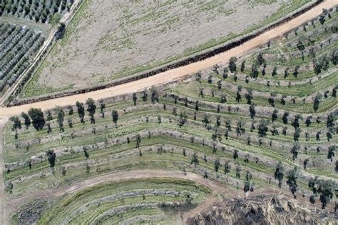 Premium Photo | Aerial view of agriculture field great landscape countryside and rural scene