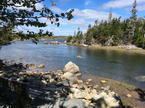 Cole harbour salt marsh trailway | Nova scotia, Atlantic canada, The great outdoors