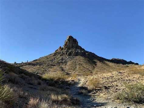 Petroglyph Canyon Trail - Nevada | AllTrails