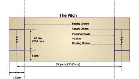 Pitch dimensions | Cricket sport, Cricket coaching, Cricket games