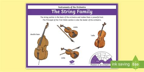 Orchestra Instruments String Family Poster (Teacher-Made)