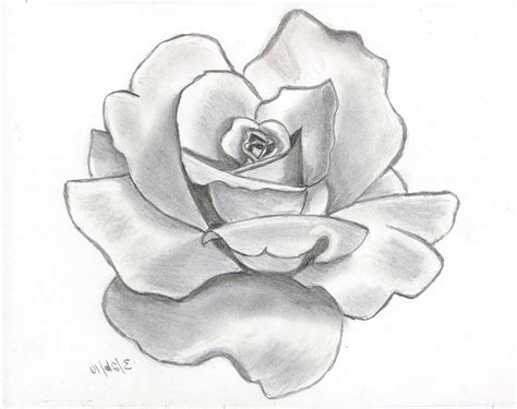 Flower Pencil Drawing Easy – Idalias Salon