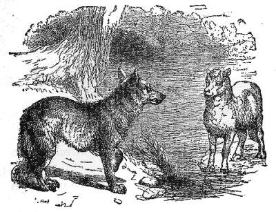 The Wolf and the Lamb, Aesop