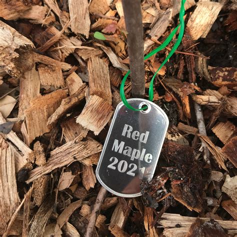 Tree Tags Custom Engraved Custom Plant Tag Garden - Etsy