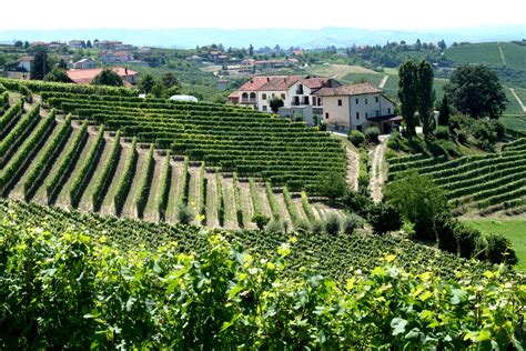 File:Piemonte, Italy vineyards with village.jpg