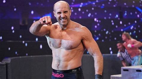 What is Cesaro's net worth?