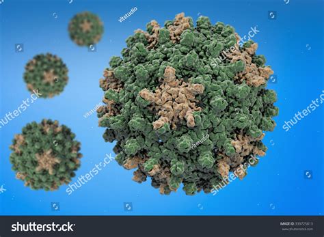 Hepatitis B Virus Structure Hepatitis B Stock Illustration 339725813 ...