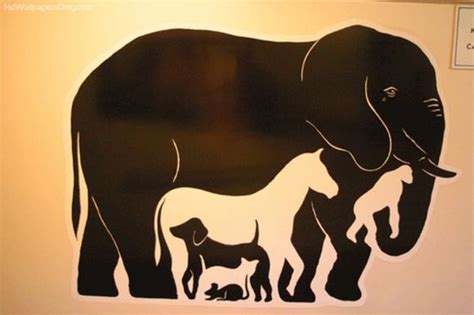 The Elephant on the Wall Optical Illusion - http://www.moillusions.com ...