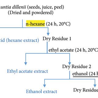 Maceration extraction process. | Download Scientific Diagram