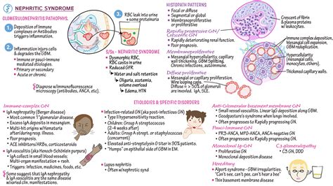 EDU - Module D: Nephritic Syndrome & Glomerulonephritis | ditki medical ...